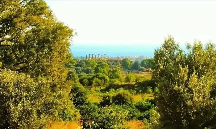 Affittacamere Tra Mare E Mito Agrigento